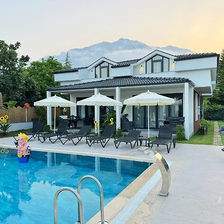- Meta Homes - Villa *